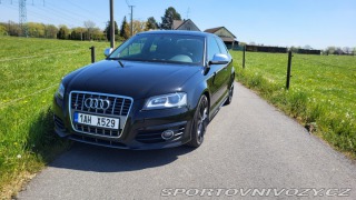 Audi S3 2.0tsfi 195kw 4x4 2009