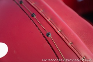 Alfa Romeo Ostatní modely 6C - TRIBUTO SPORT 1931
