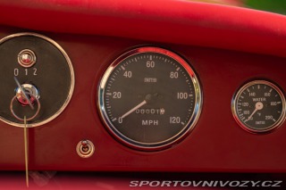 Alfa Romeo Ostatní modely 6C - TRIBUTO SPORT 1931