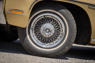 Ostatní značky Ostatní modely Buick LeSabre 5.7 Hard Top / AJ NA SPL 1970