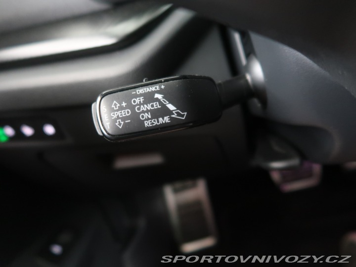 Škoda Octavia RS RS RS 2.0 TSI 2025