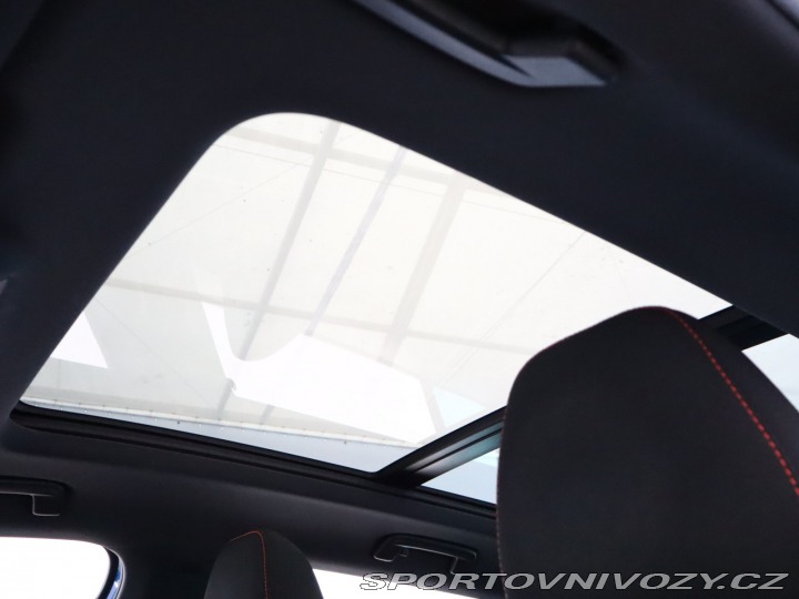 Škoda Octavia RS RS RS 2.0 TSI 2020