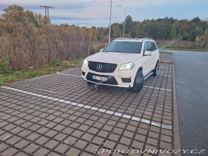 Mercedes-Benz Ostatní modely GL 2013