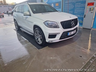 Mercedes-Benz Ostatní modely GL 2013