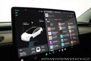 Tesla Model 3 Std Range Plus 55kWh 2021