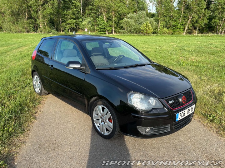 Volkswagen Polo GTI 2007