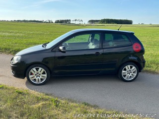 Volkswagen Polo GTI 2007
