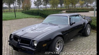 Pontiac Firebird 5.7 1976