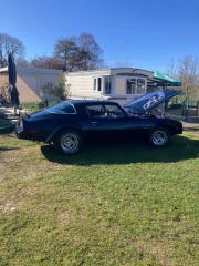 Pontiac Firebird 5.7 1976