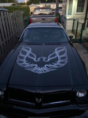 Pontiac Firebird 5.7 1976