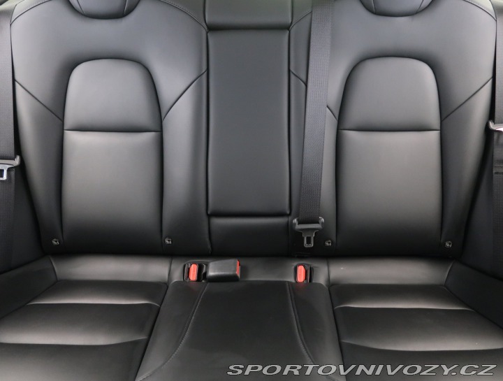 Tesla Model 3 Std Range Plus LFP 2020