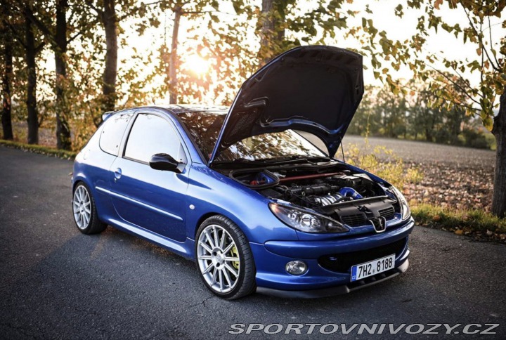 Peugeot 206 RC 2004