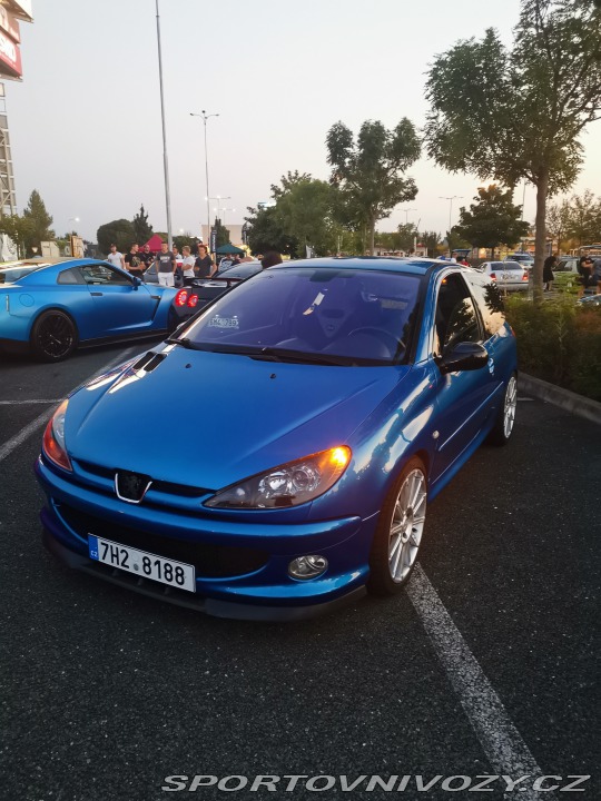 Peugeot 206 RC 2004