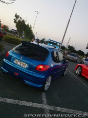 Peugeot 206 RC 2004