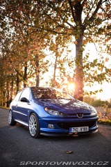 Peugeot 206 RC 2004
