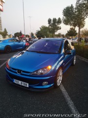 Peugeot 206 RC 2004