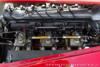Alfa Romeo Ostatní modely 2600 SPORT “DISCO VOLANTE TRIBUTO” 1964
