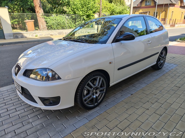 Seat Ibiza Cupra 2007