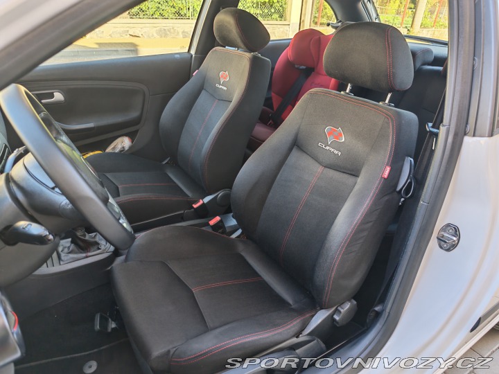 Seat Ibiza Cupra 2007