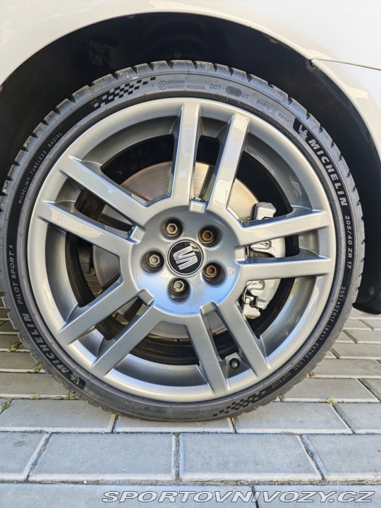 Seat Ibiza Cupra 2007