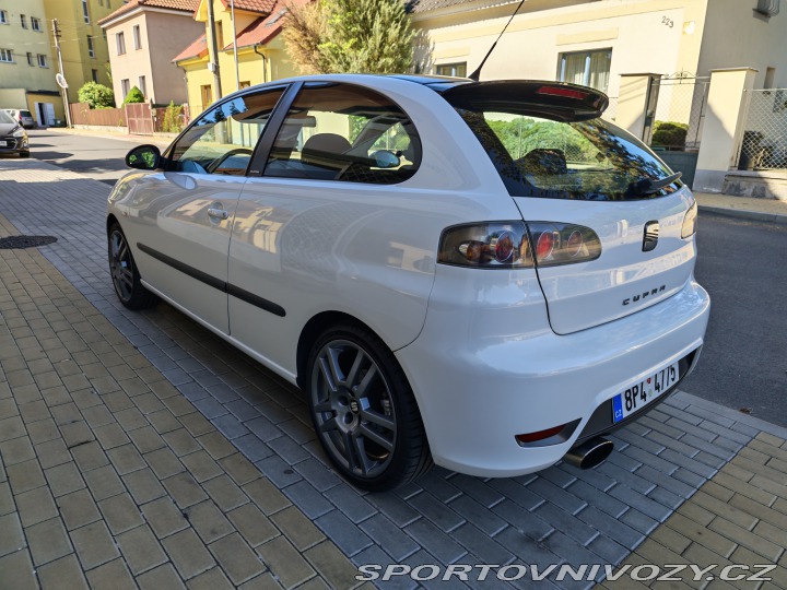 Seat Ibiza Cupra 2007