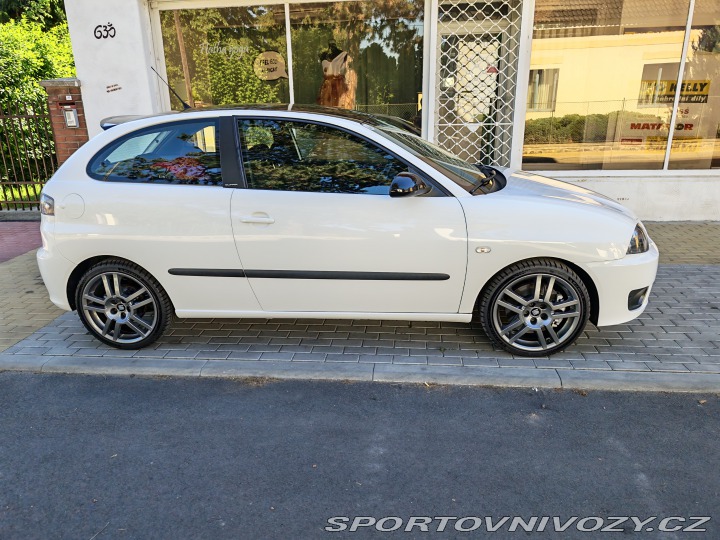 Seat Ibiza Cupra 2007