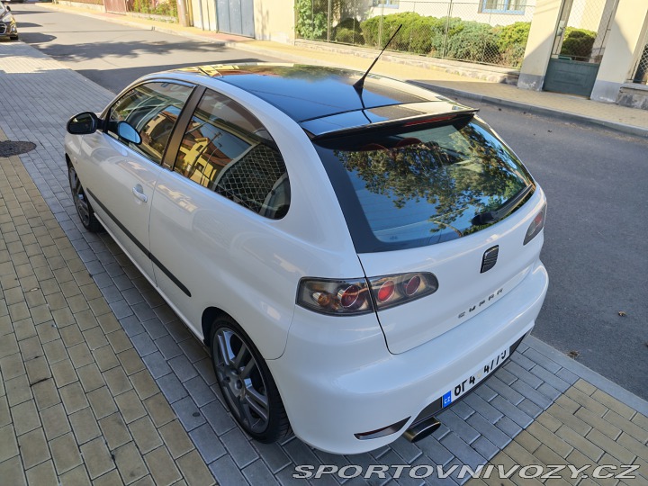 Seat Ibiza Cupra 2007
