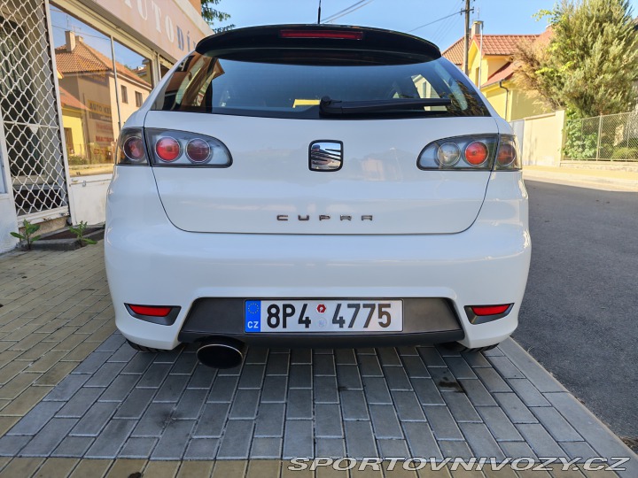 Seat Ibiza Cupra 2007