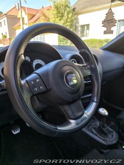 Seat Ibiza Cupra 2007