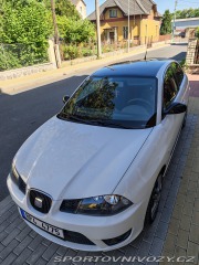 Seat Ibiza Cupra 2007