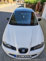 Seat Ibiza Cupra 2007
