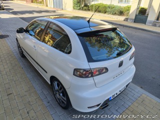 Seat Ibiza Cupra 2007