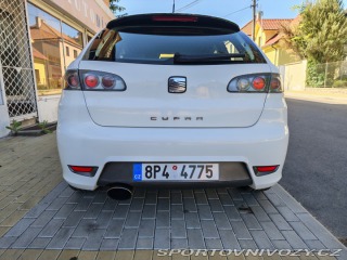Seat Ibiza Cupra 2007
