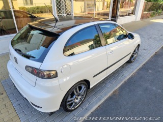 Seat Ibiza Cupra 2007