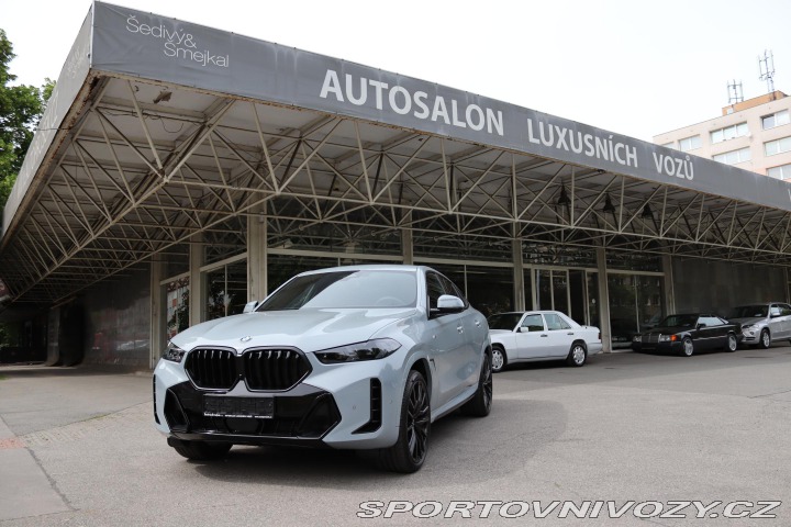 BMW X6 XDRIVE 40i G06 M-SPORT 28 2026