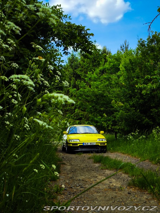 Honda CRX  1991