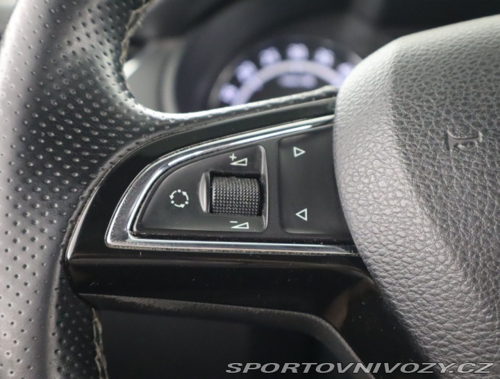 Škoda Octavia RS RS RS 2.0 TDI 2014