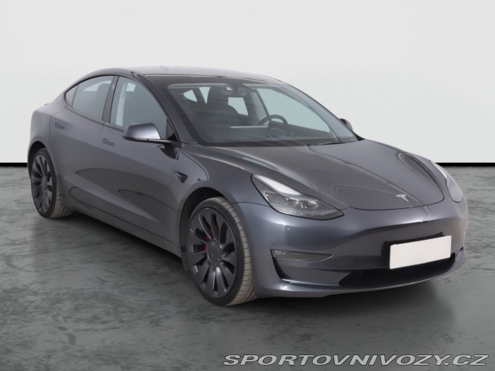 Tesla Model 3 Performance 79kWh 2022