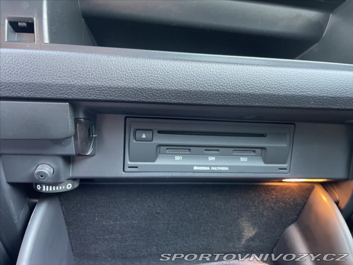 Škoda Kodiaq RS 2,0 TDi RS DSG 4x4 Nez.To 2020