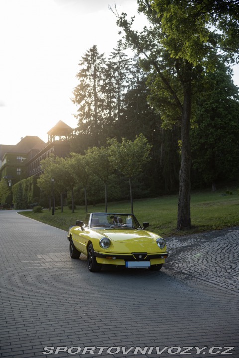Alfa Romeo Spider 2.0 92kw 1989