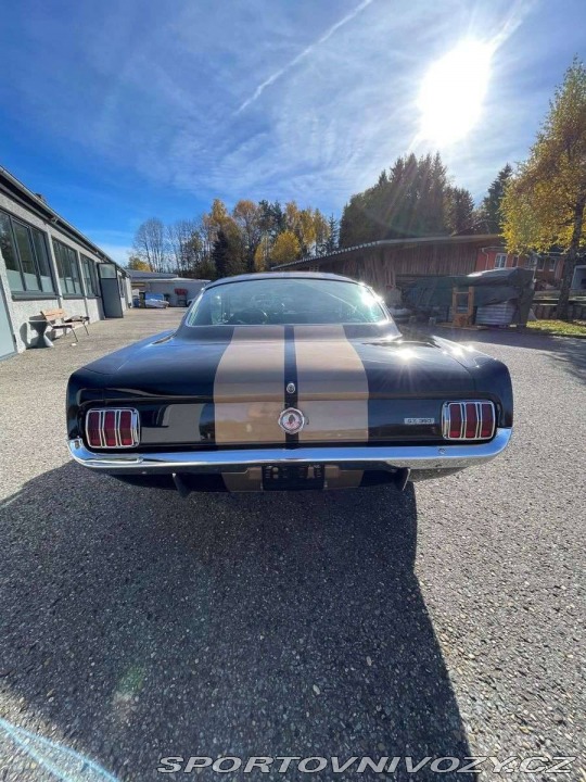 Ford Mustang Fastback GT350H 1965
