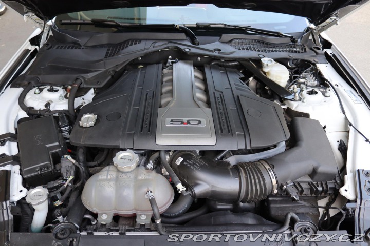 Ford Mustang SHELBY GT-H 5.0 V8 CONVER 2021