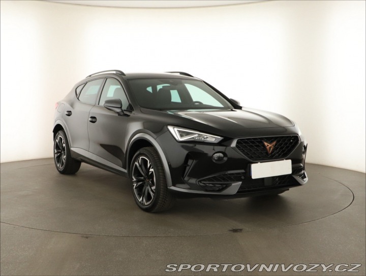 Cupra Formentor Business 2.0 TSI 4Drive 2025