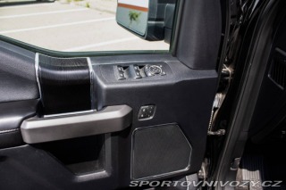 Ford Ostatní modely F-150 Platinum 5.0 V8 4x4 A/T, 2020