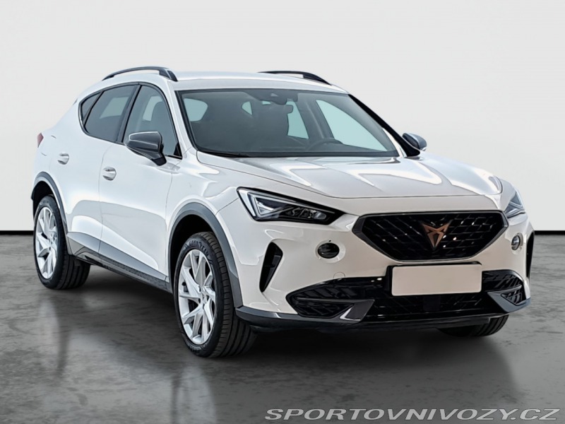 Cupra Formentor 2.0 TSI 4Drive