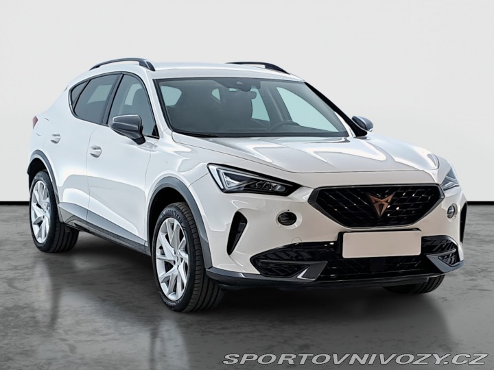 Cupra Formentor 2.0 TSI 4Drive 2024