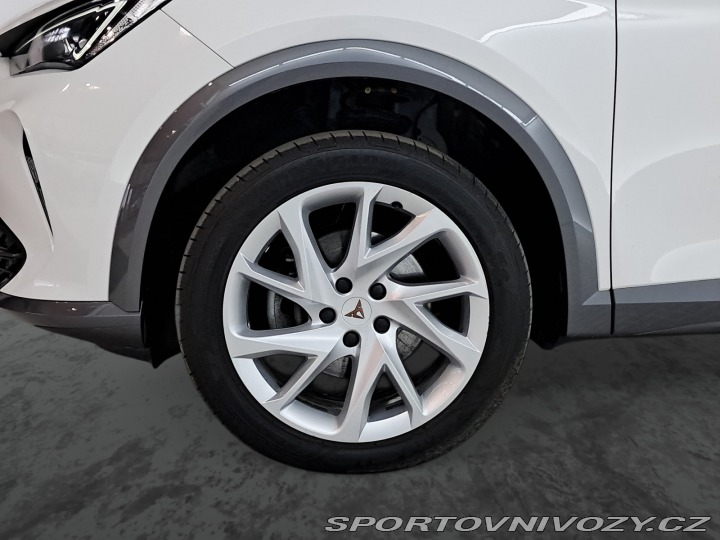 Cupra Formentor 2.0 TSI 4Drive 2024