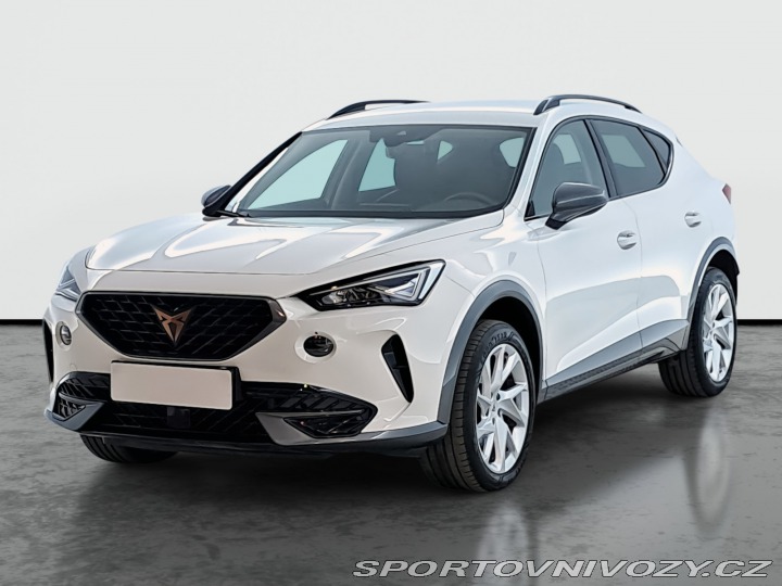 Cupra Formentor 2.0 TSI 4Drive 2024