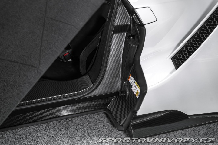 Ford Ostatní modely GT CARBON SERIES/KAMERA/L 2022