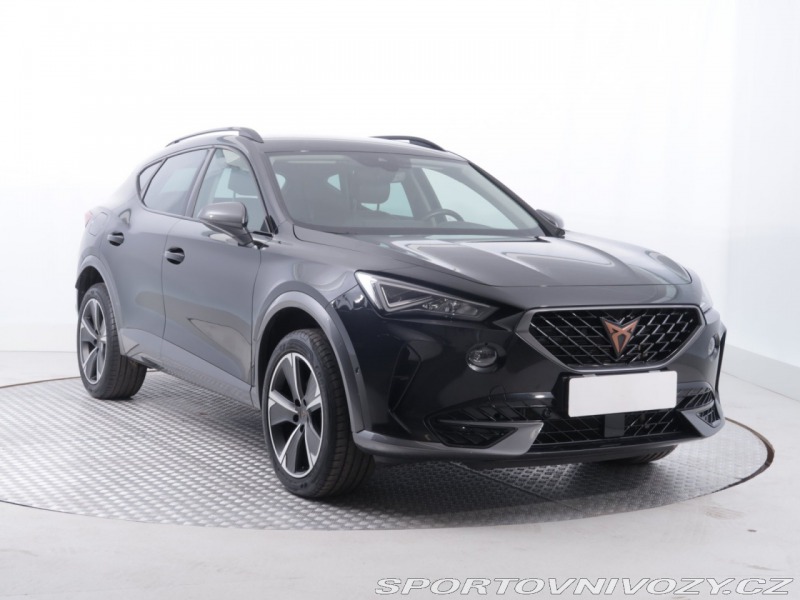 Cupra Formentor 2.0 TSI 4Drive